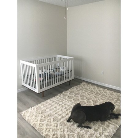 Customer image 251