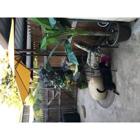 Customer image 116