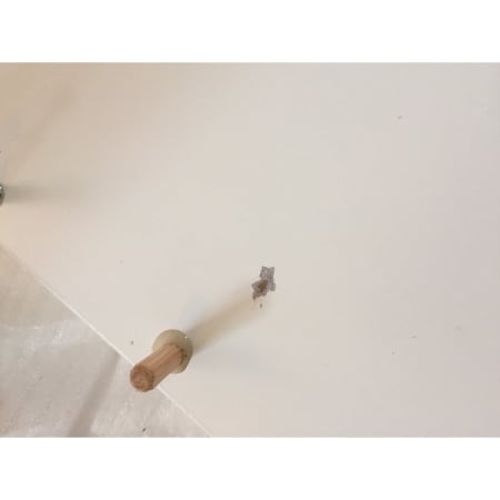 Customer image 8