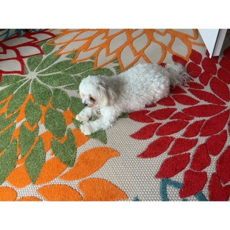 Customer image 994