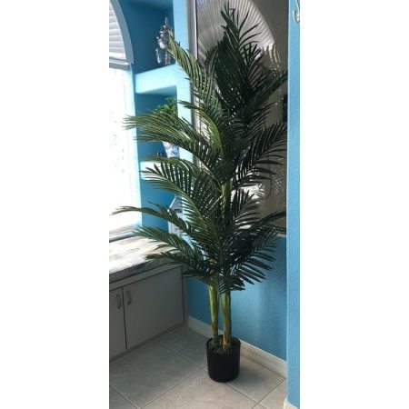 Customer image 41