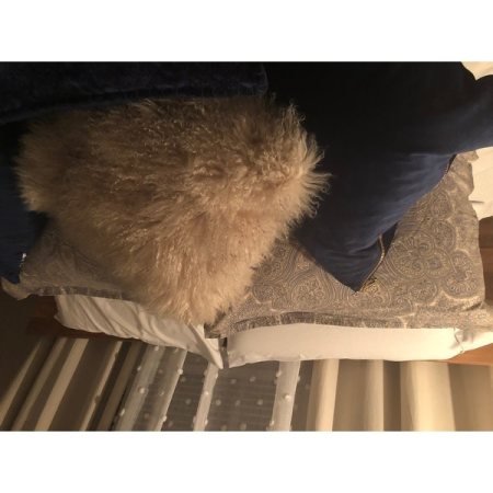 Customer image 530
