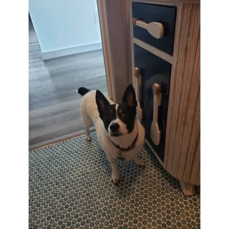 Customer image 1