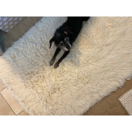 Customer image 644