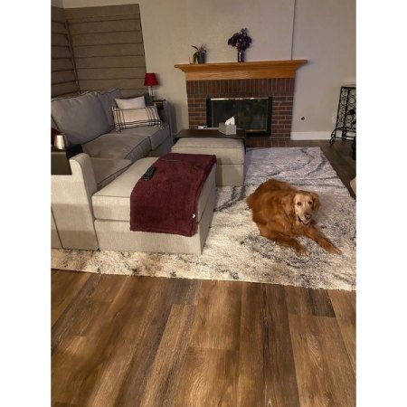 Customer image 45
