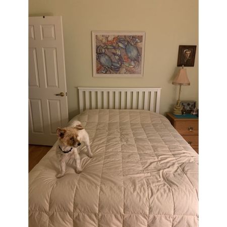 Customer image 2