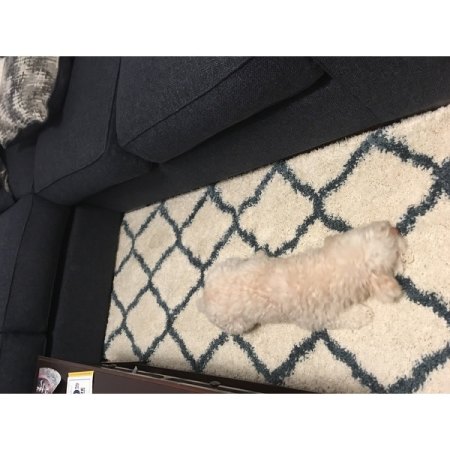 Customer image 111