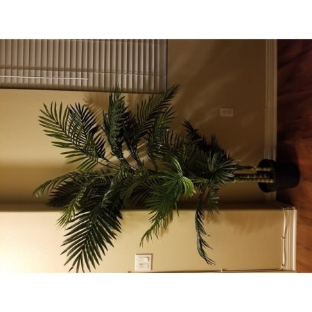 Customer image 210