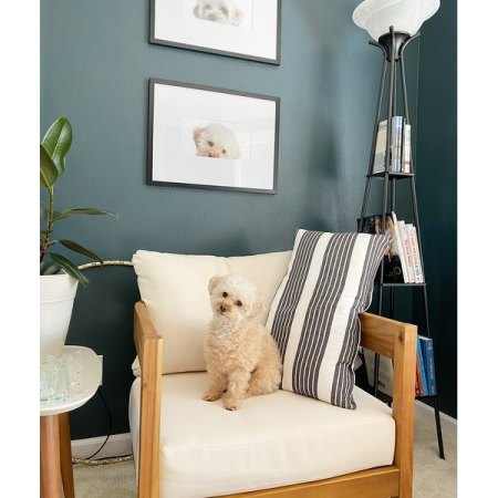 Customer image 22