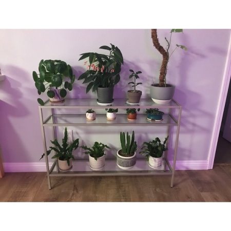 Customer image 7