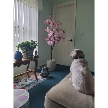 Customer image 2