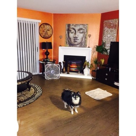 Customer image 61