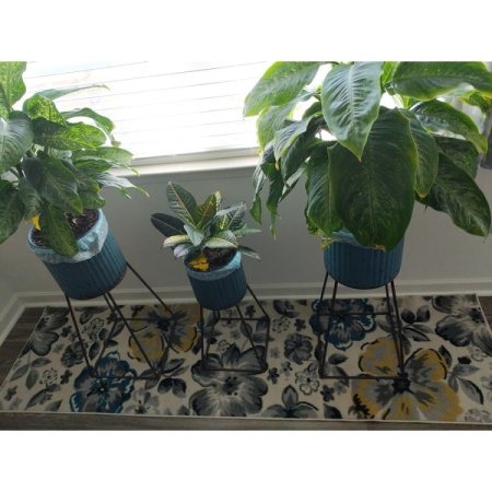 Customer image 121