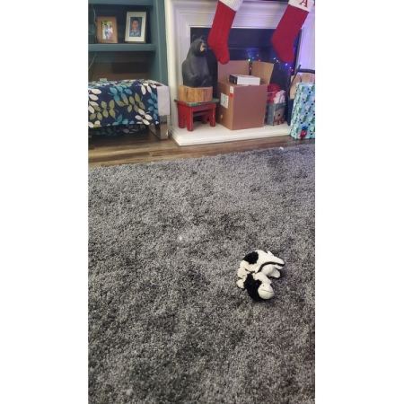 Customer image 17