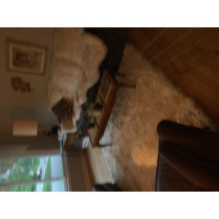 Customer image 261