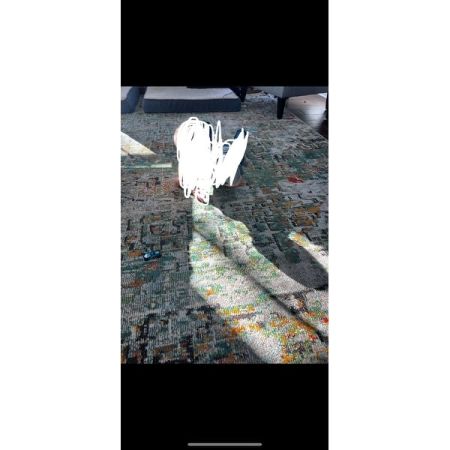 Customer image 16