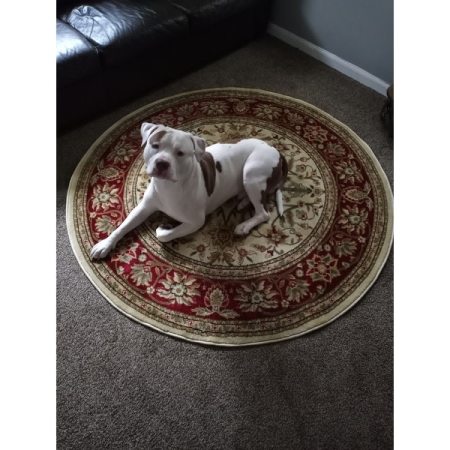 Customer image 192
