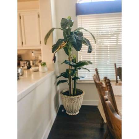 Customer image 1
