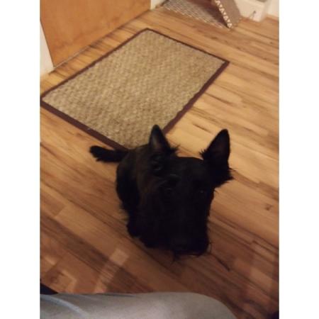 Customer image 525