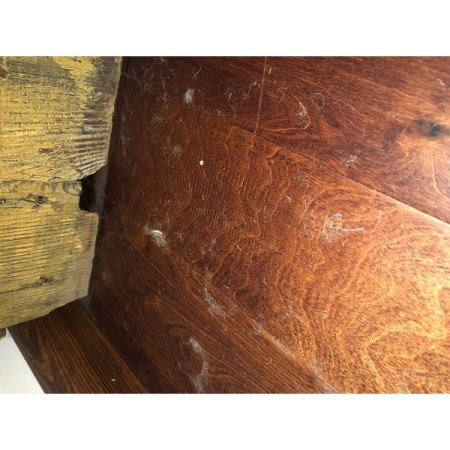 Customer image 55