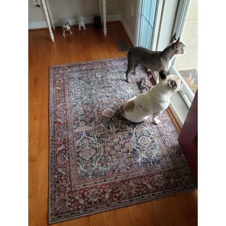 Customer image 193