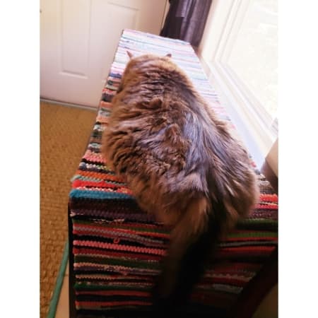 Customer image 4
