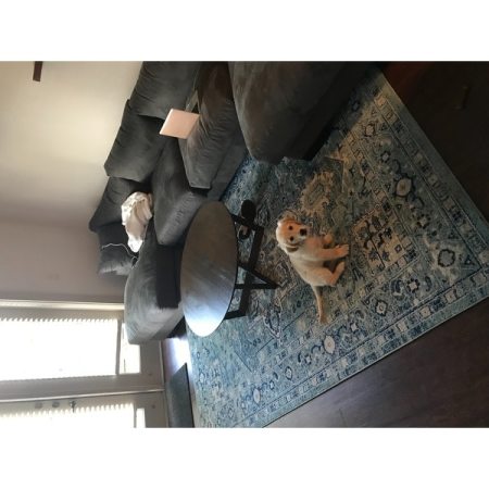 Customer image 278