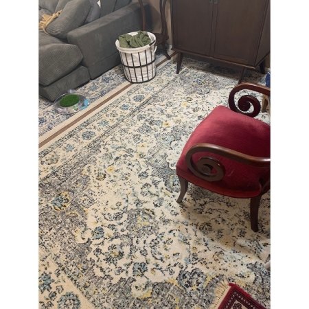 Customer image 550