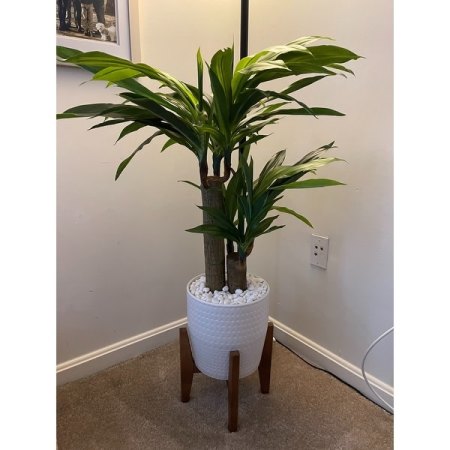 Customer image 1