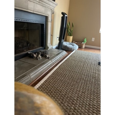 Customer image 177