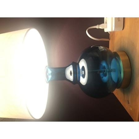 Customer image 20