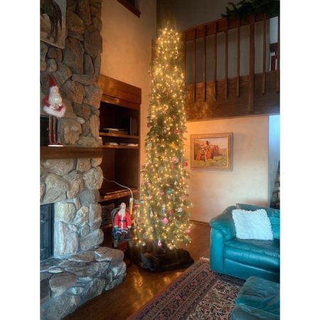 Customer image 7