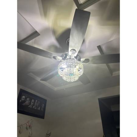 Customer image 40