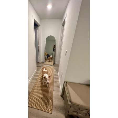 Customer image 3