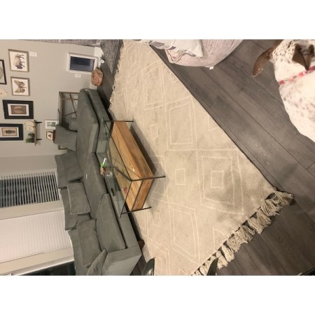 Customer image 260