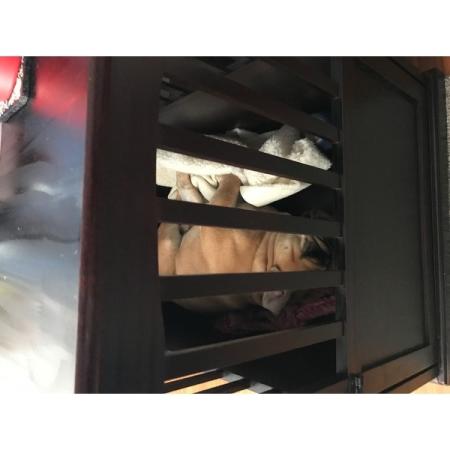 Customer image 78