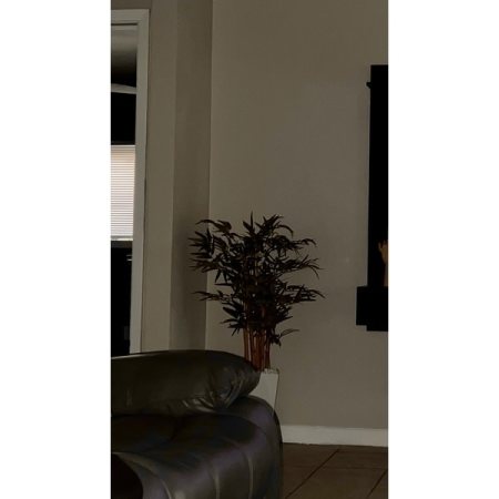 Customer image 2