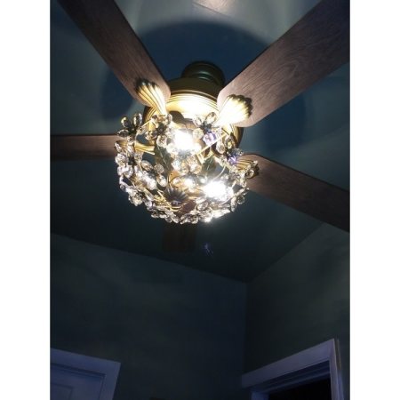 Customer image 6