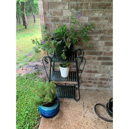 Customer image 12