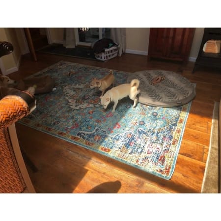Customer image 15