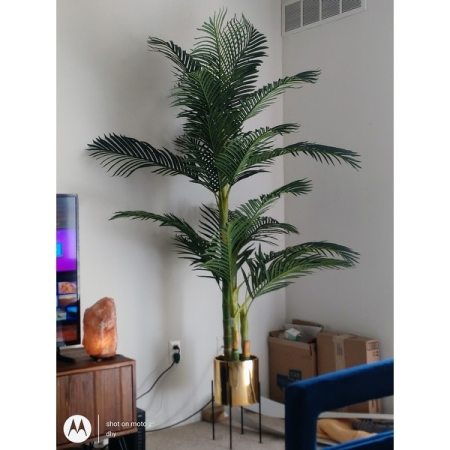 Customer image 49