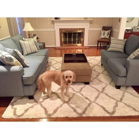 Customer image 176