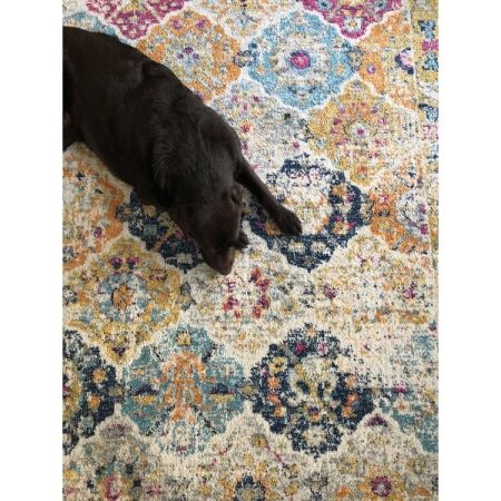 Customer image 484