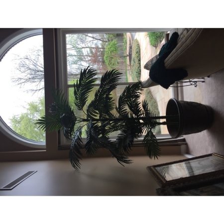 Customer image 5