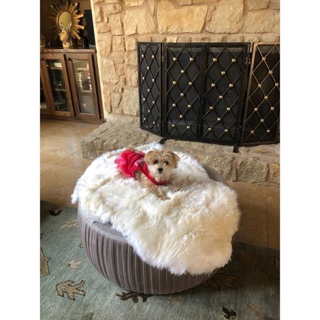 Customer image 74