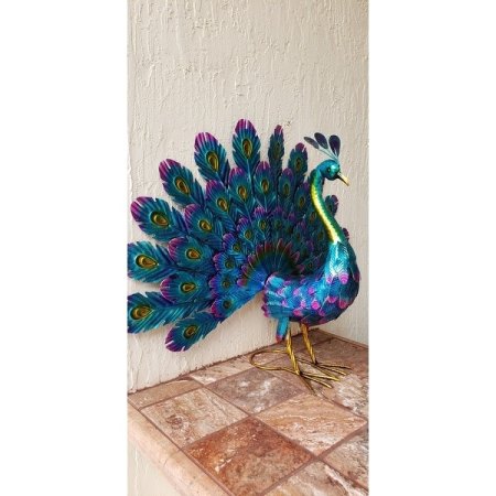 Customer image 48
