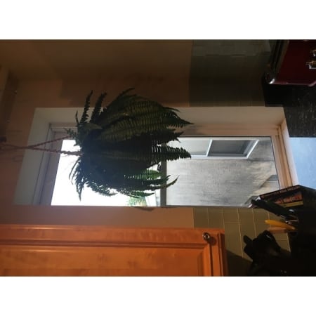 Customer image 20