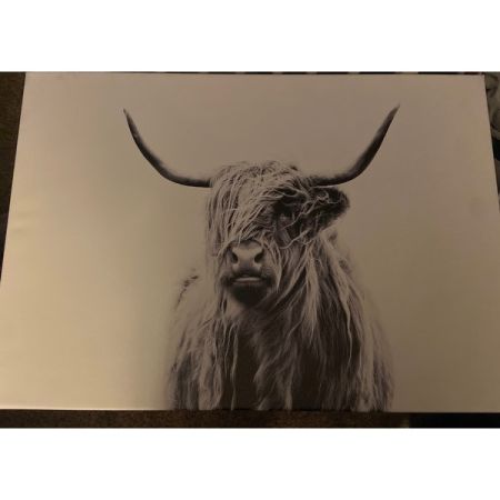 Customer image 4