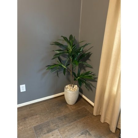 Customer image 79