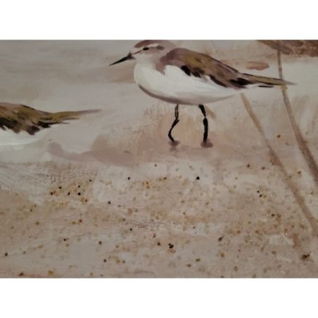 Customer image 2